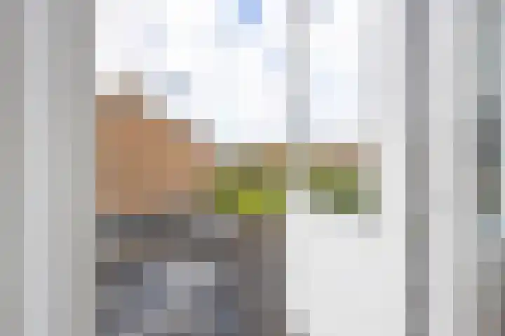 Oud Schaik 34 Leerdam thumbnail 28