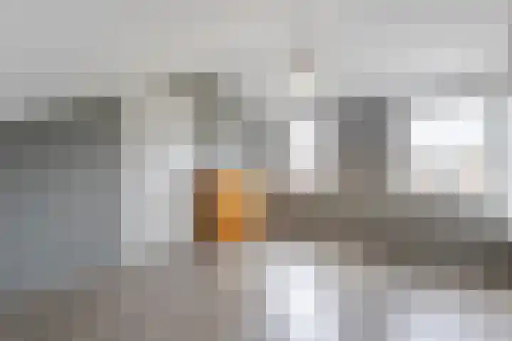 Oud Schaik 34 Leerdam thumbnail 31