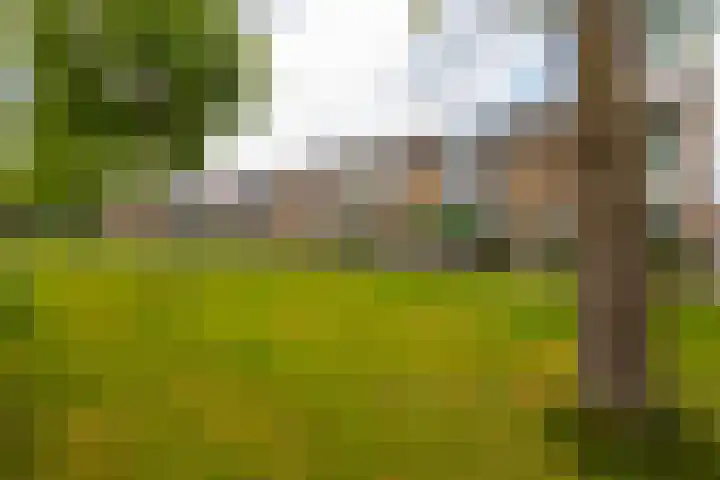 Oud Schaik 34 Leerdam thumbnail 37