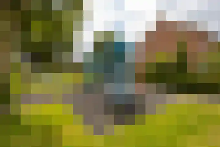 Oud Schaik 34 Leerdam thumbnail 38