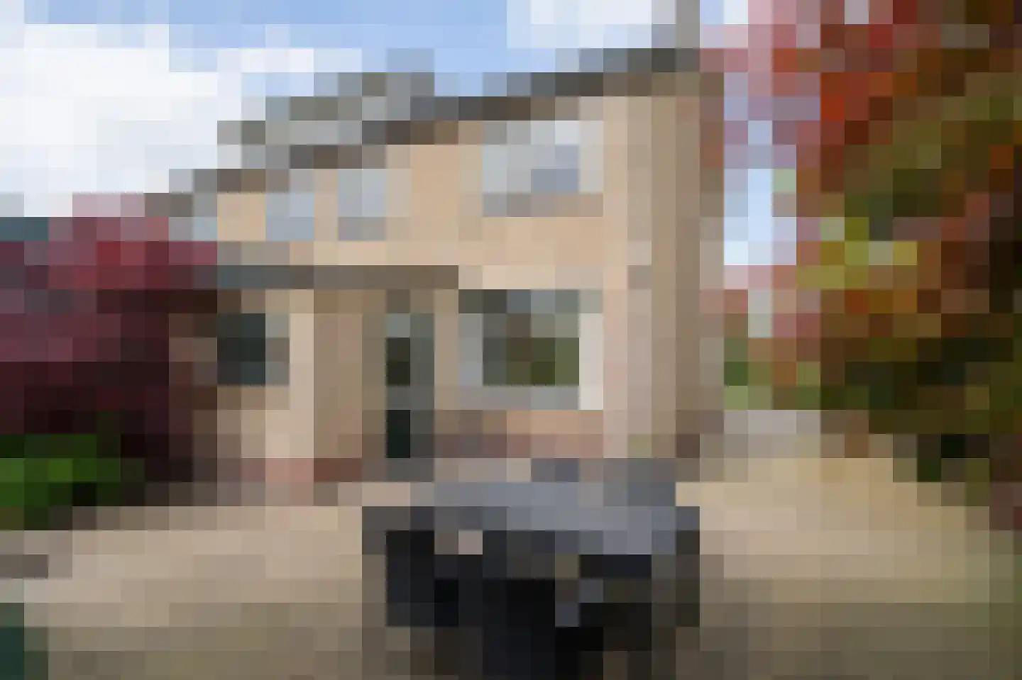 Oud Schaik 68 Leerdam thumbnail 21