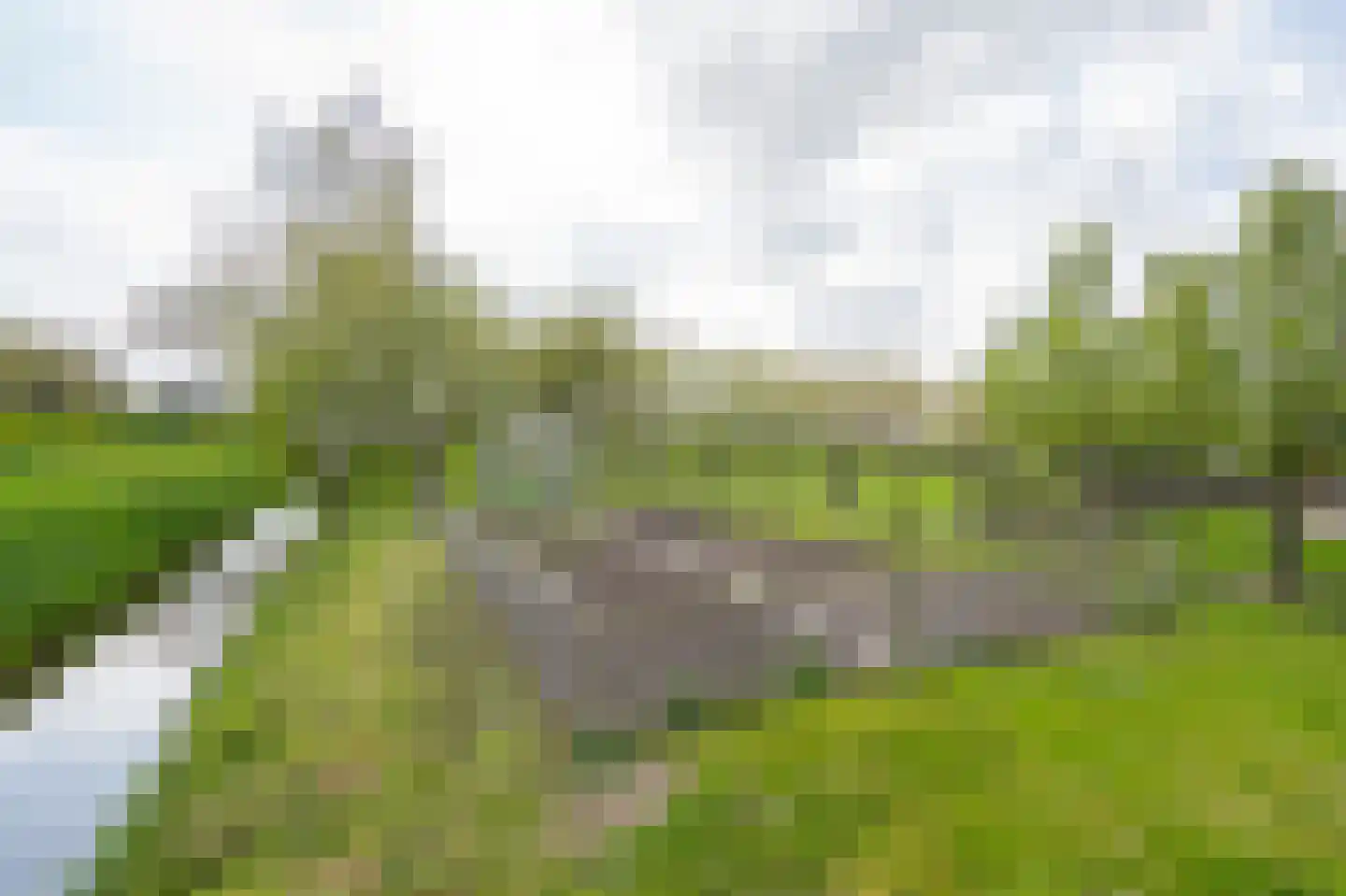 Oud Schaik 68 Leerdam thumbnail 22