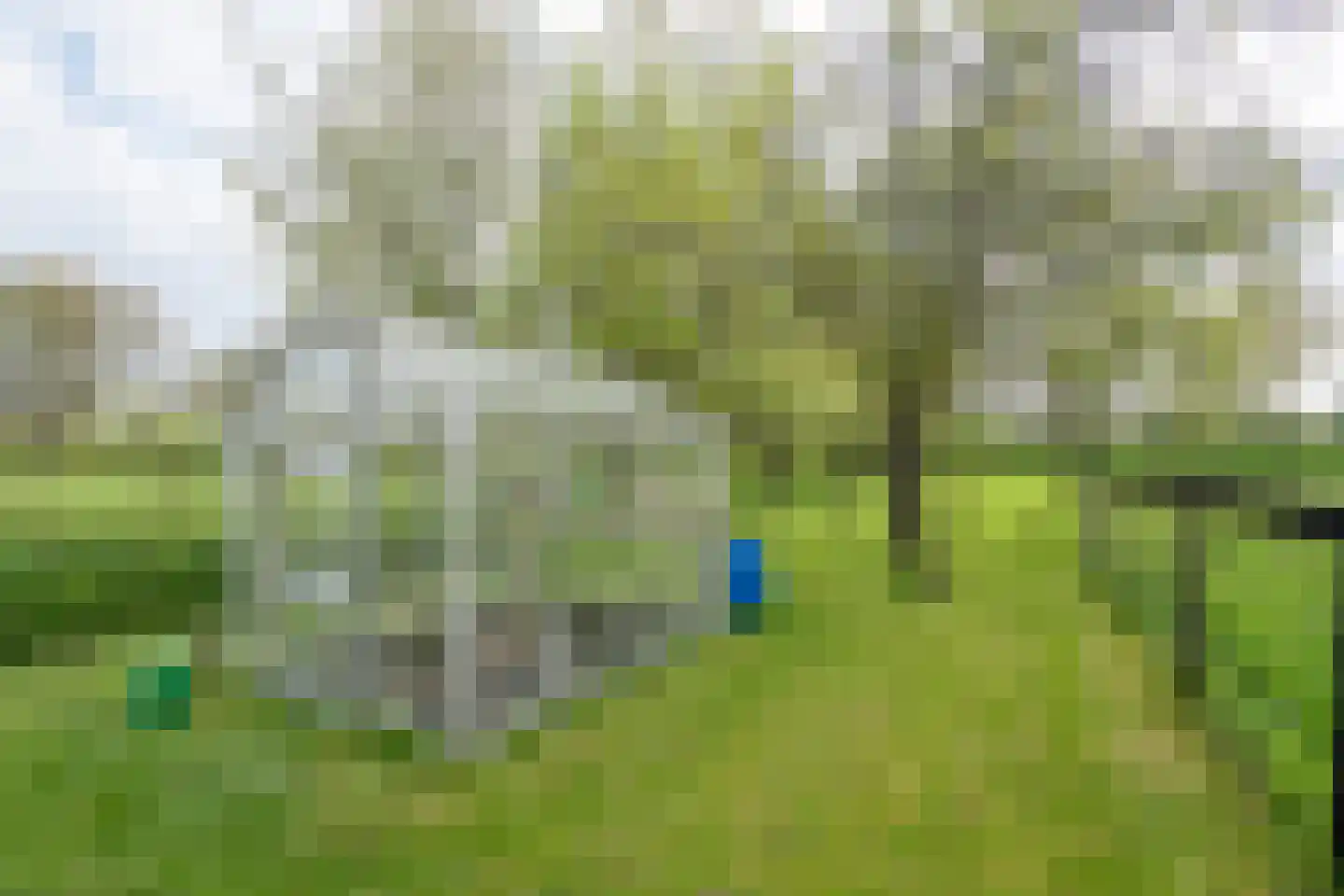 Oud Schaik 68 Leerdam thumbnail 23