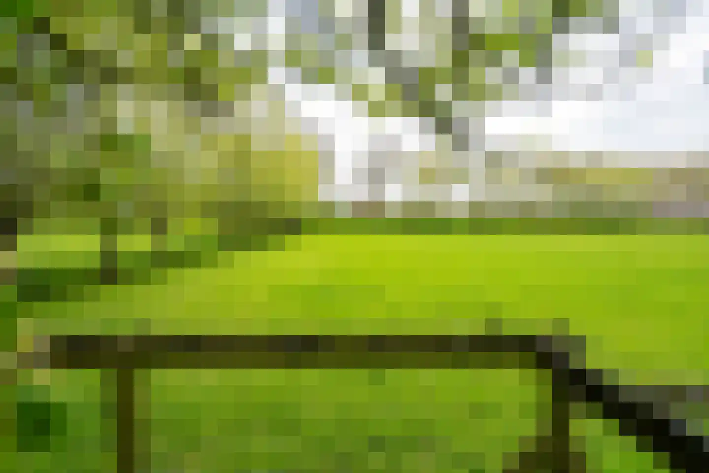 Oud Schaik 68 Leerdam thumbnail 4