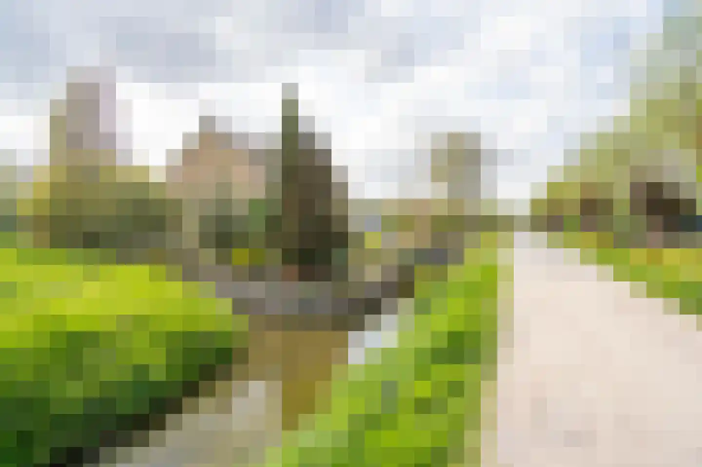 Oud Schaik 68 Leerdam thumbnail 41