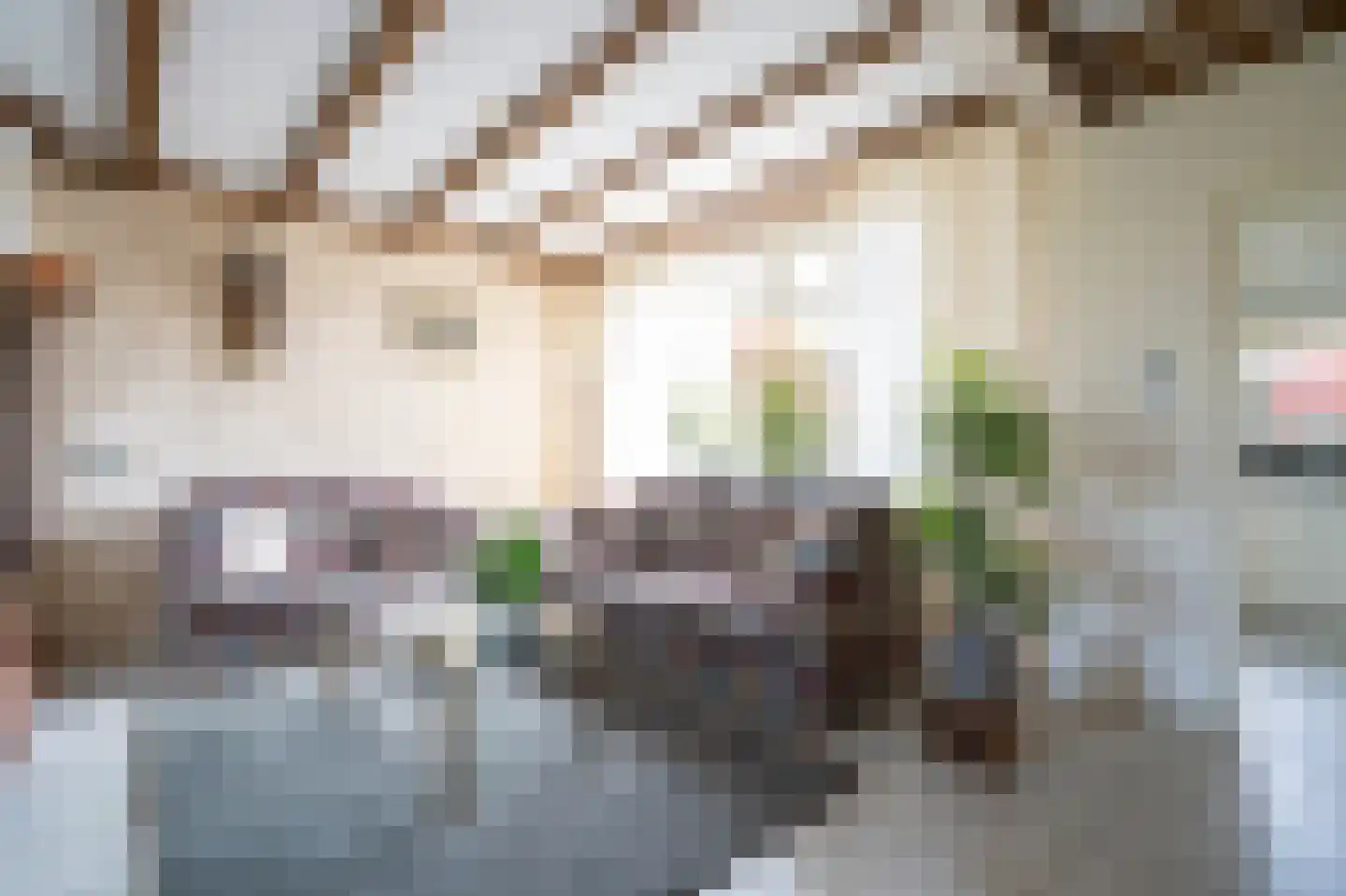 Oud Schaik 68 Leerdam thumbnail 5