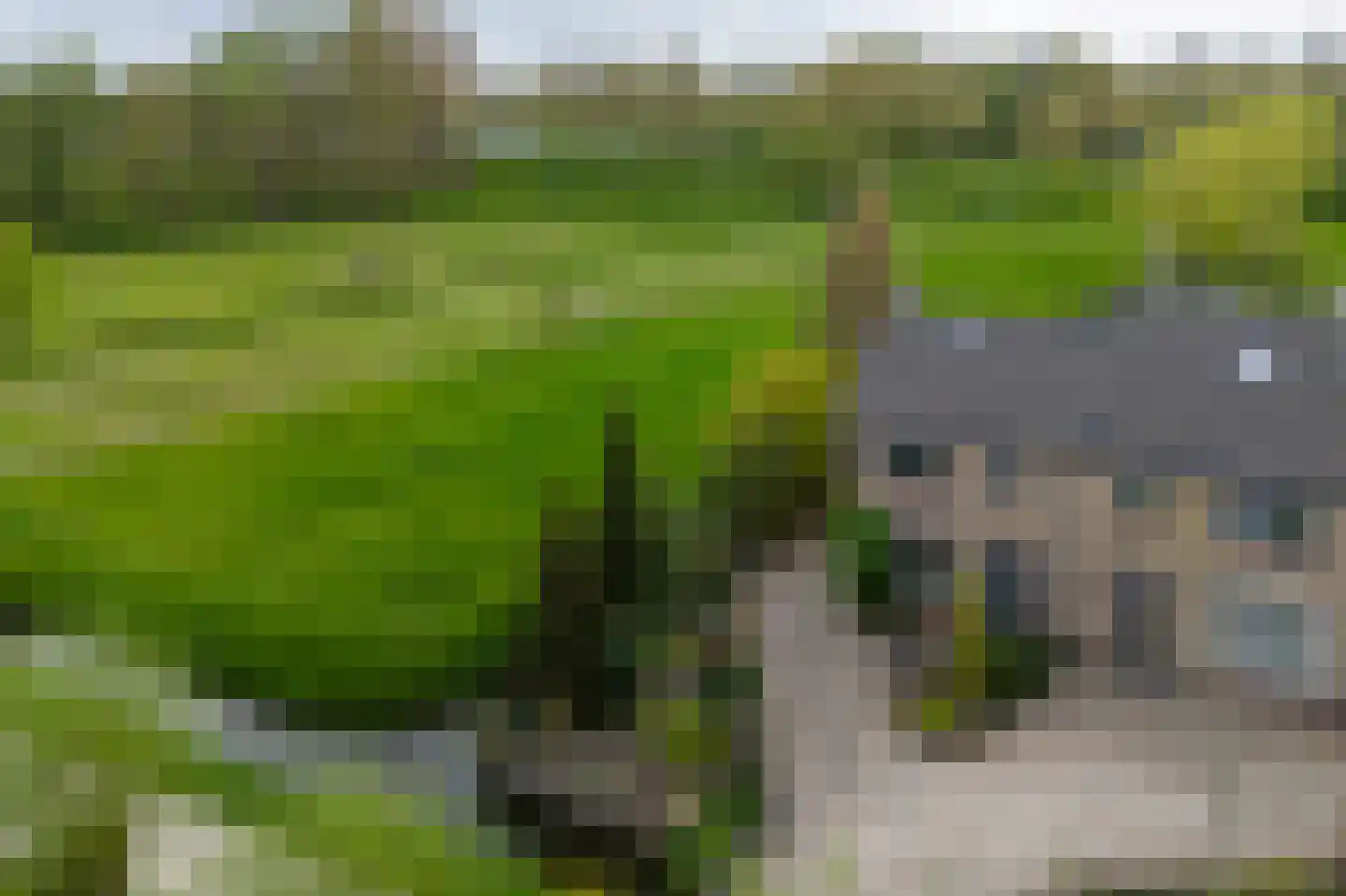 Oud Schaik 68 Leerdam thumbnail 7