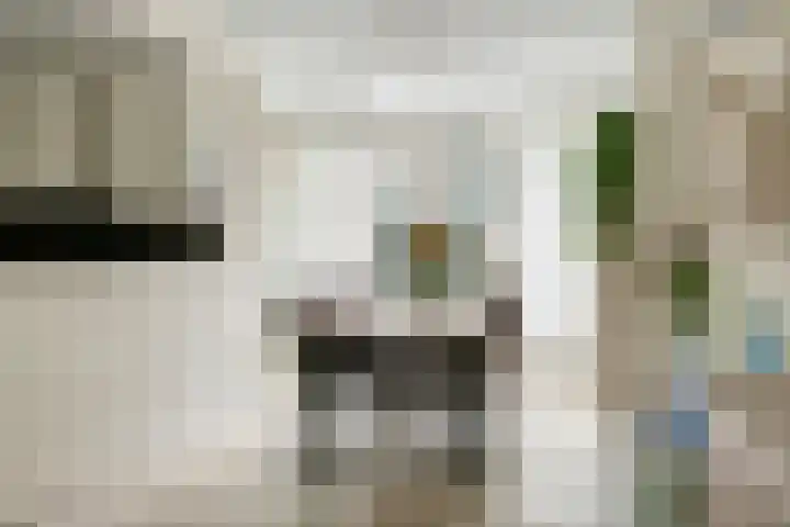 Oud Schaik 7 Leerdam thumbnail 14