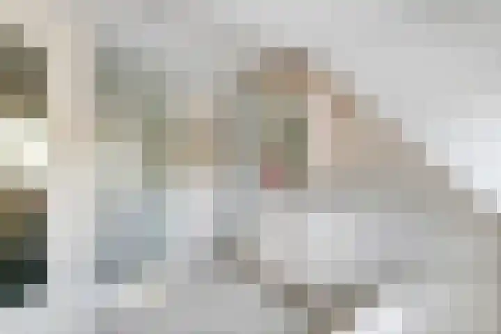 Oud Schaik 7 Leerdam thumbnail 23