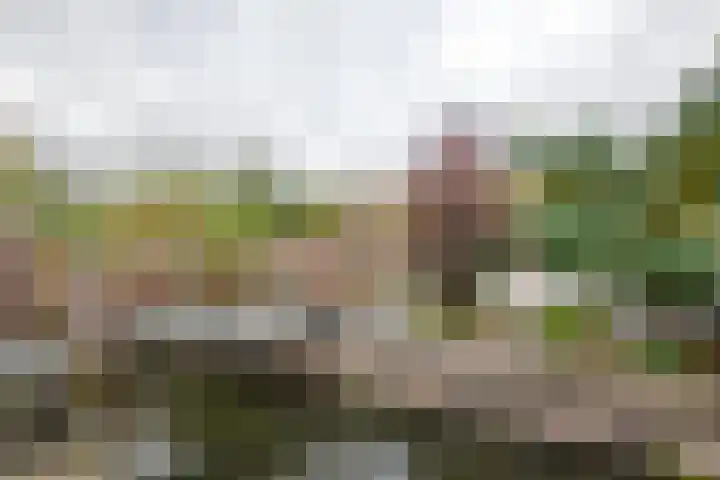 Oud Schaik 7 Leerdam thumbnail 34