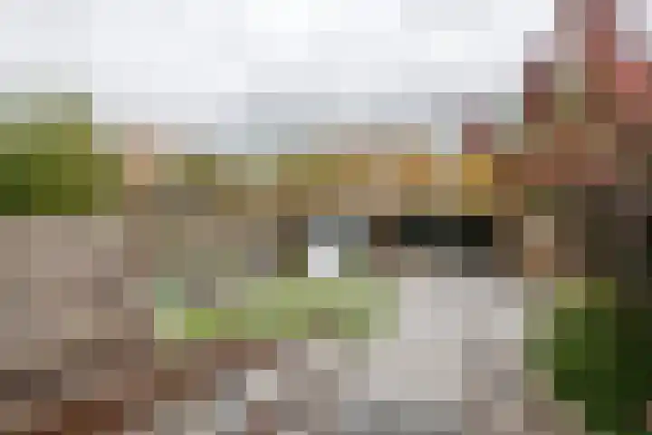 Oud Schaik 7 Leerdam thumbnail 35