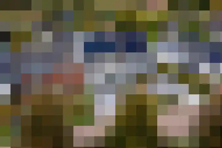 Oud Schaik 7 Leerdam thumbnail 41