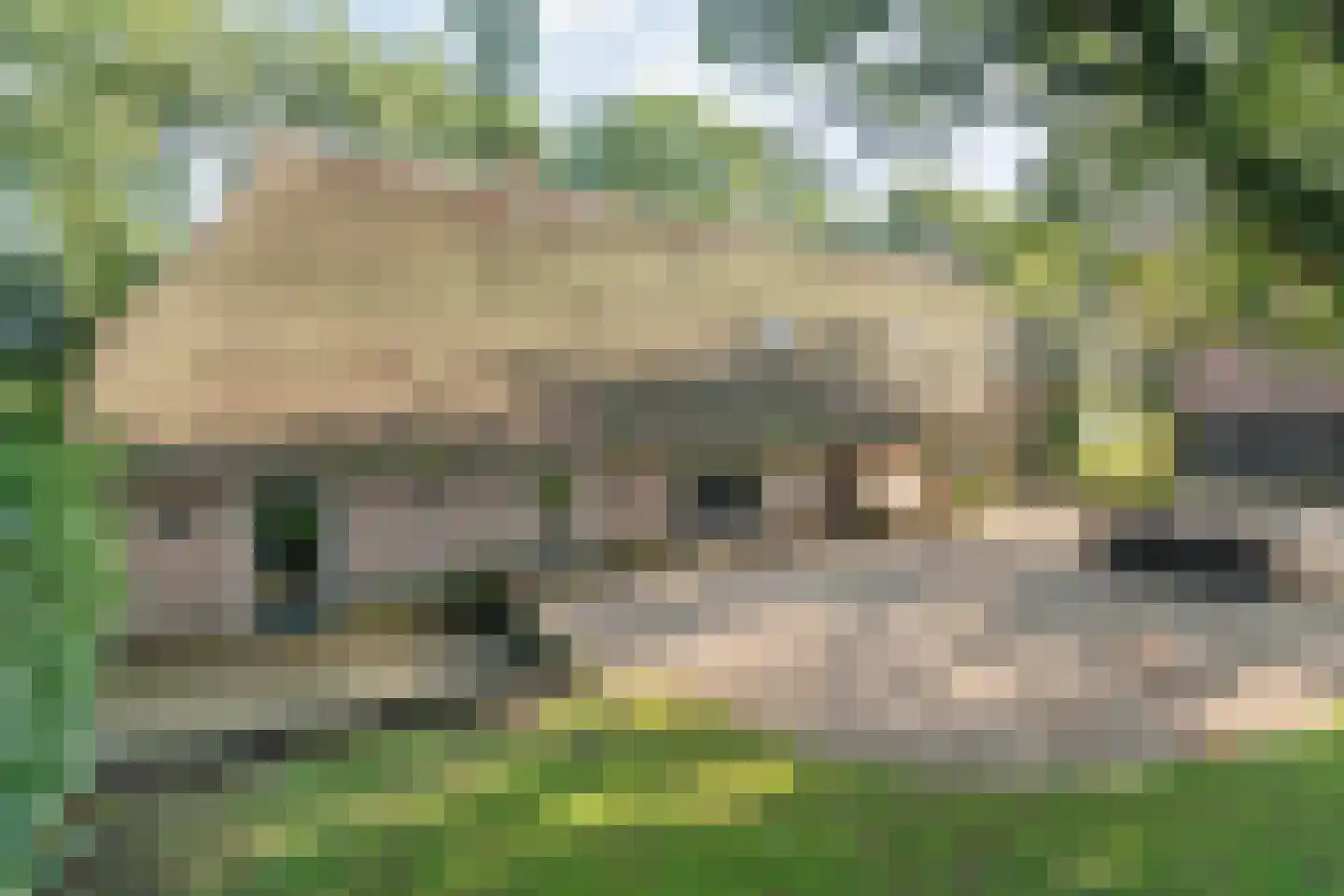Oud Veeningen 4 Veeningen
