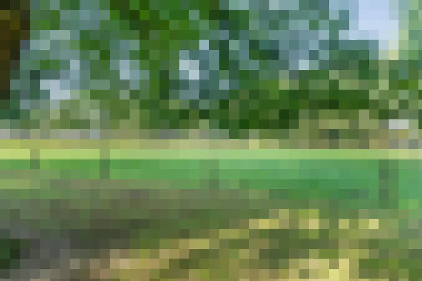 Oud Veeningen 4 Veeningen thumbnail 100