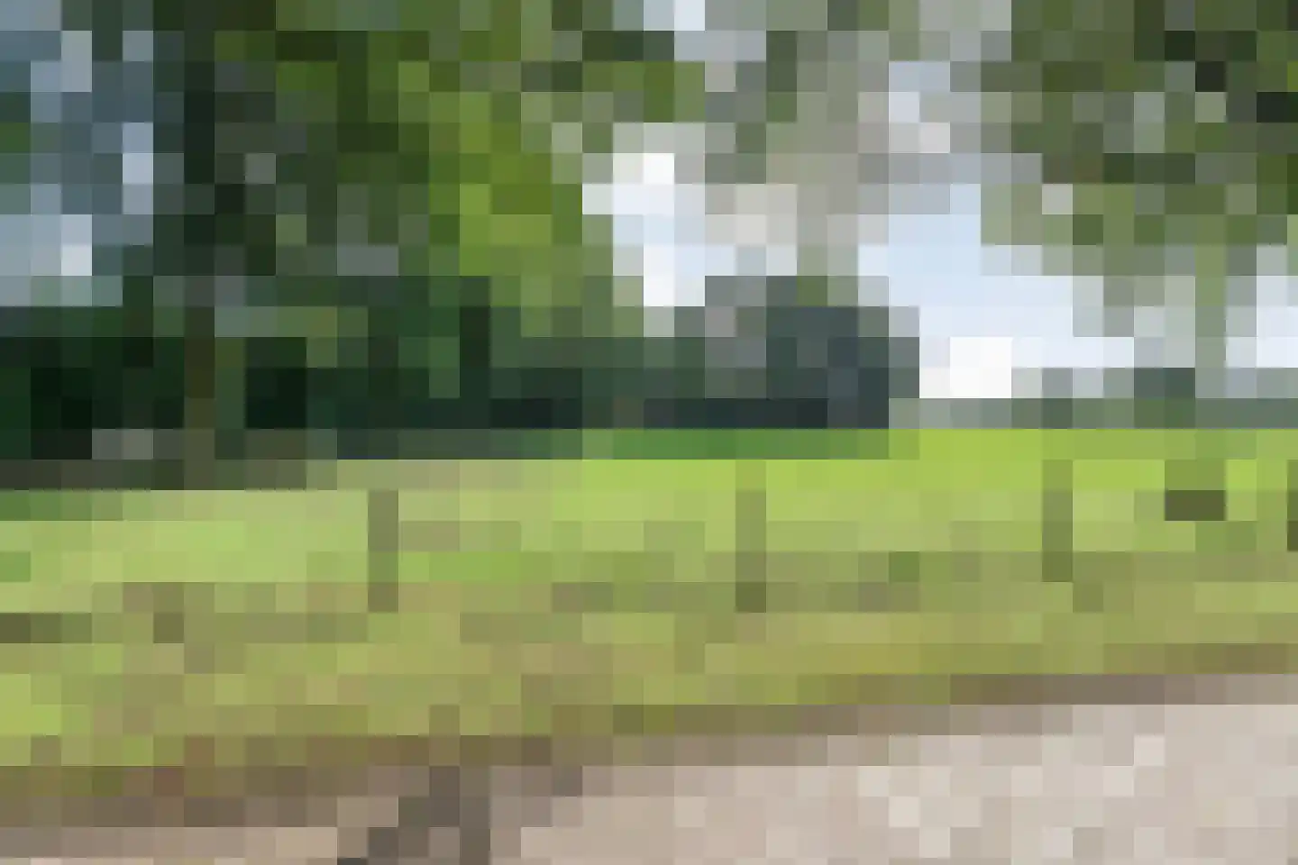 Oud Veeningen 4 Veeningen thumbnail 101