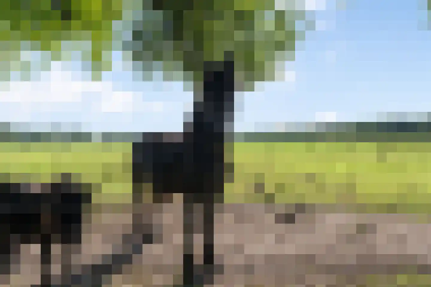 Oud Veeningen 4 Veeningen thumbnail 102