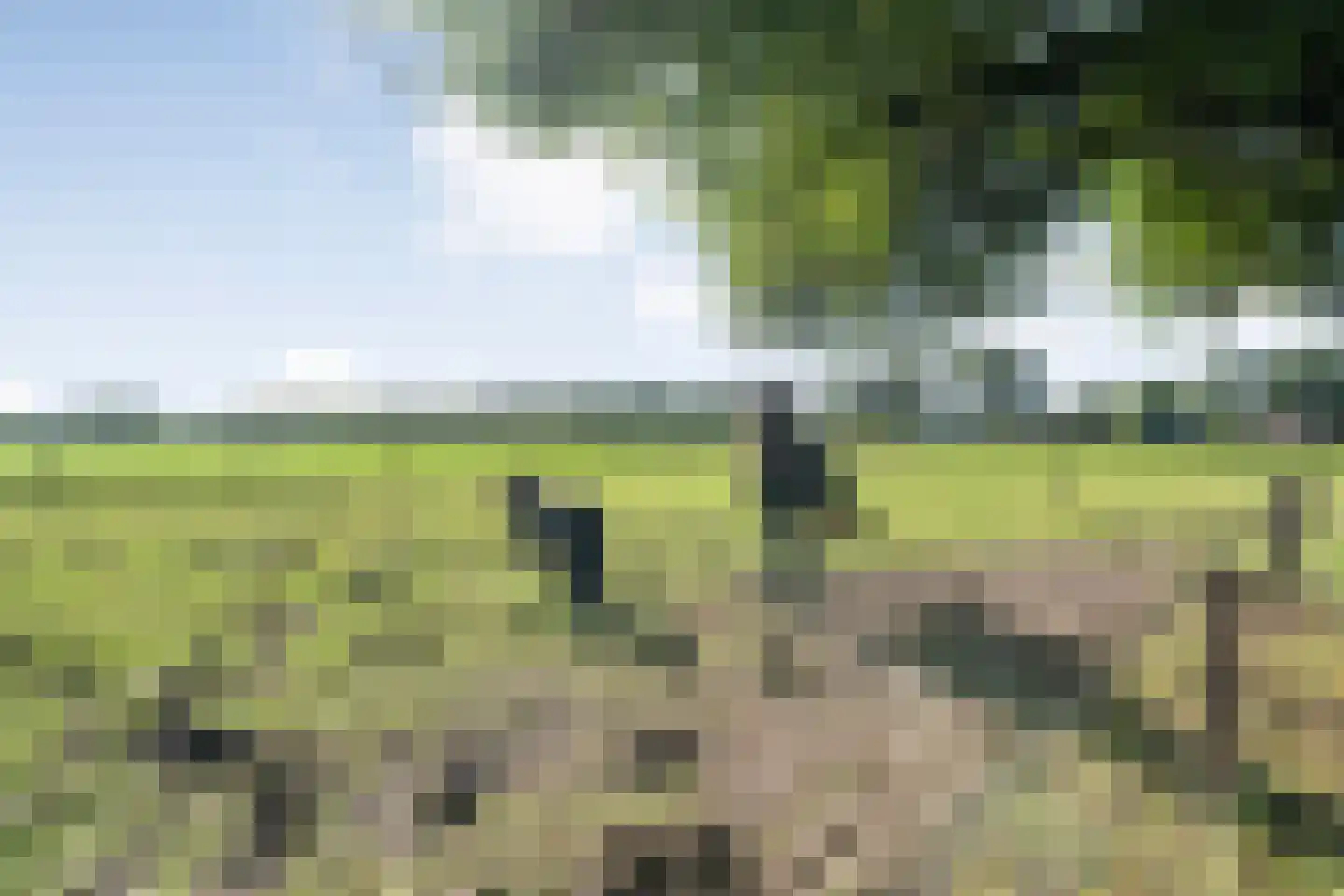 Oud Veeningen 4 Veeningen thumbnail 103