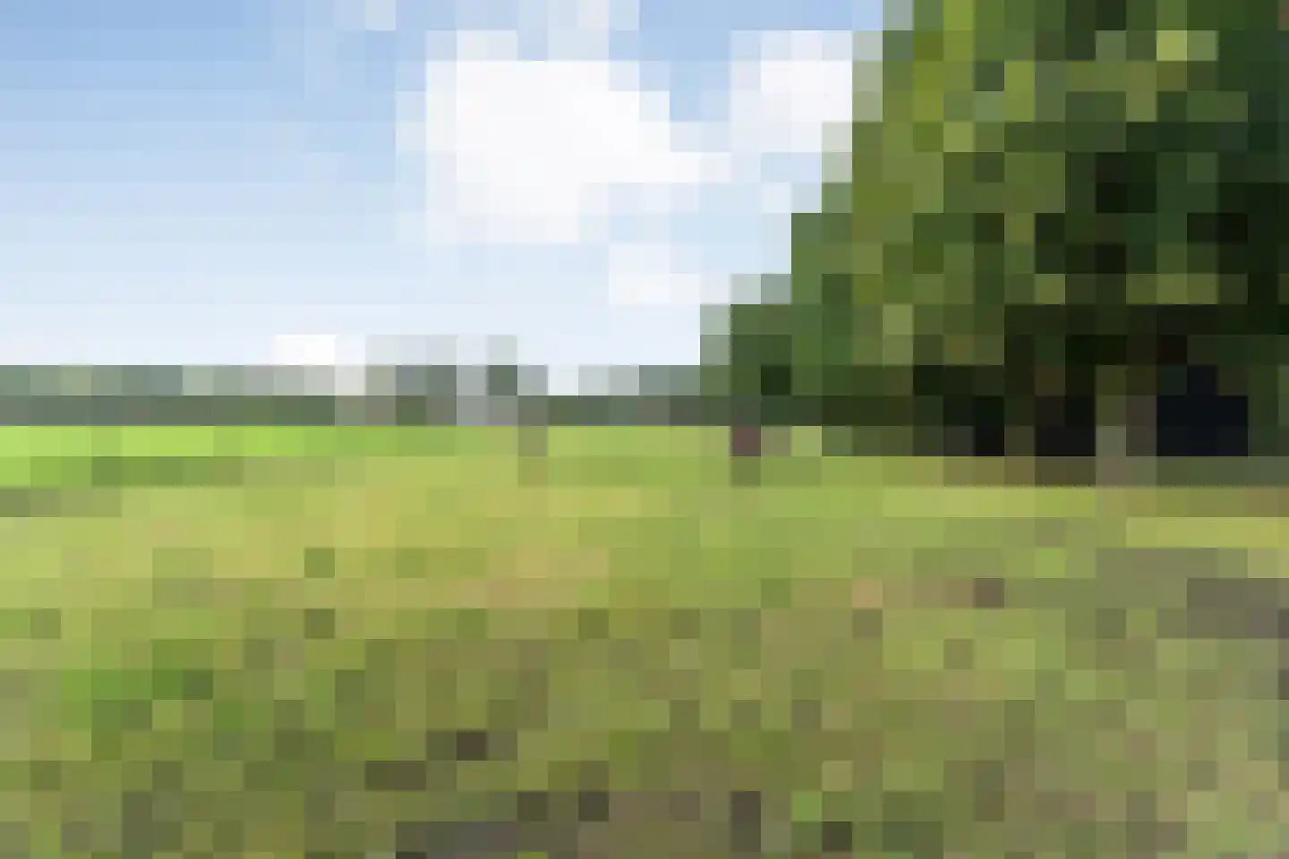 Oud Veeningen 4 Veeningen thumbnail 105