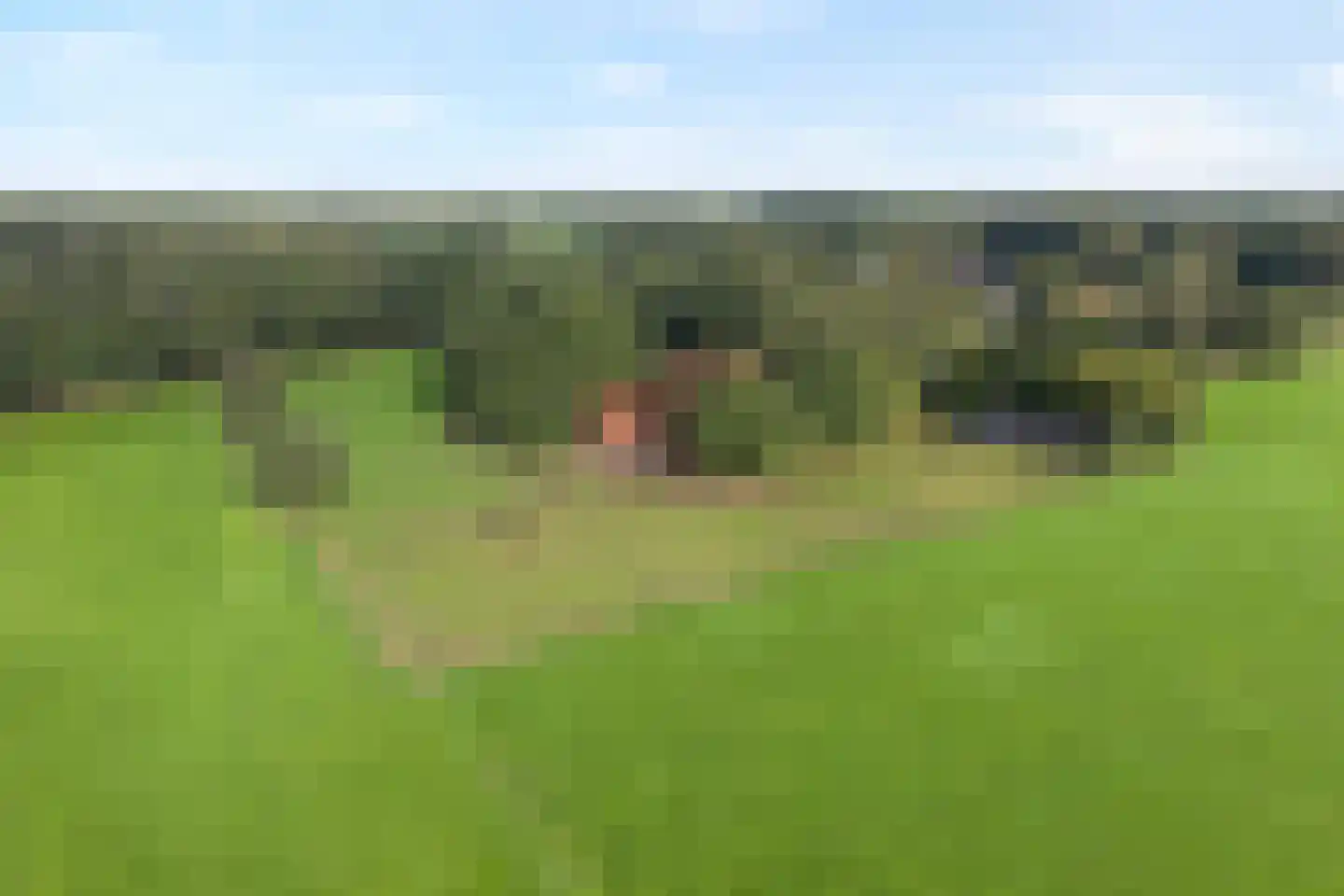 Oud Veeningen 4 Veeningen thumbnail 106