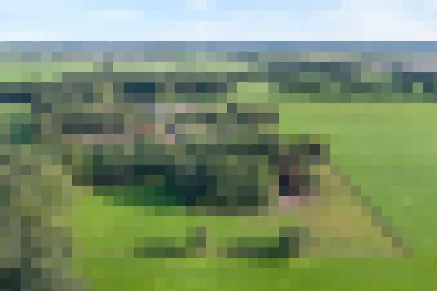 Oud Veeningen 4 Veeningen thumbnail 107