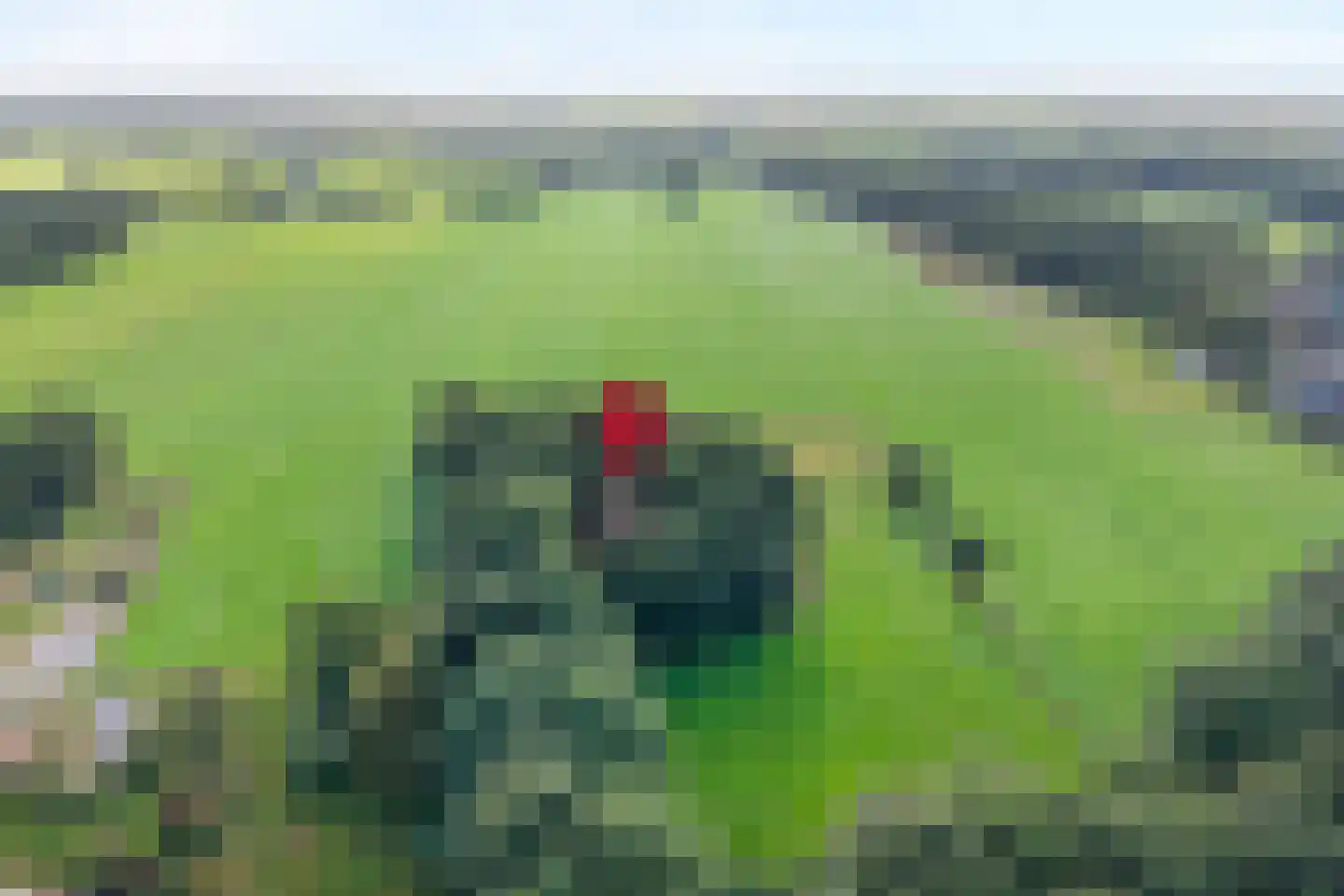 Oud Veeningen 4 Veeningen thumbnail 108