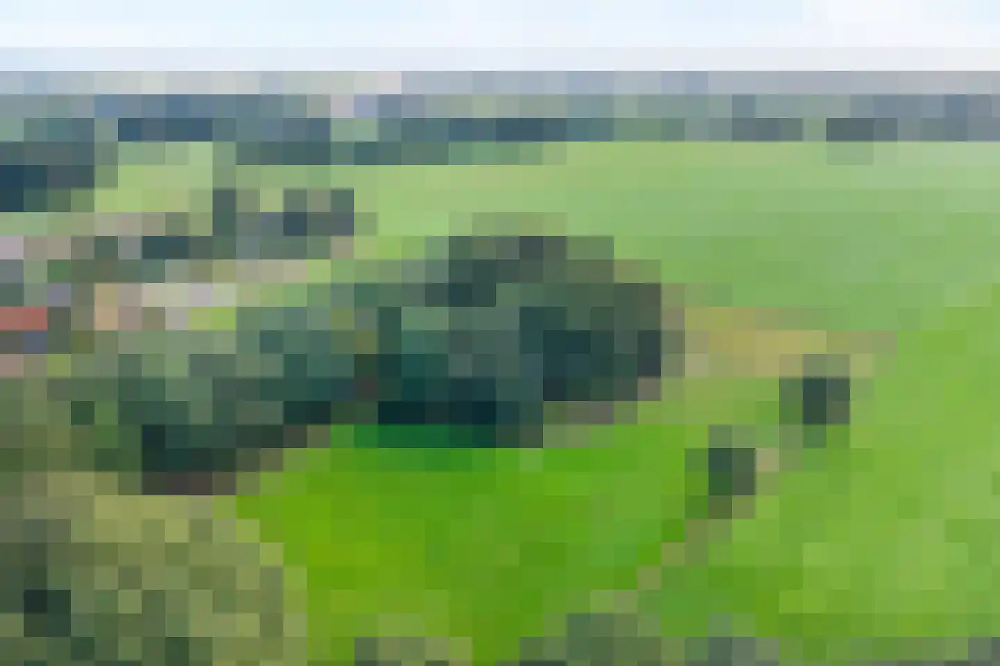 Oud Veeningen 4 Veeningen thumbnail 109