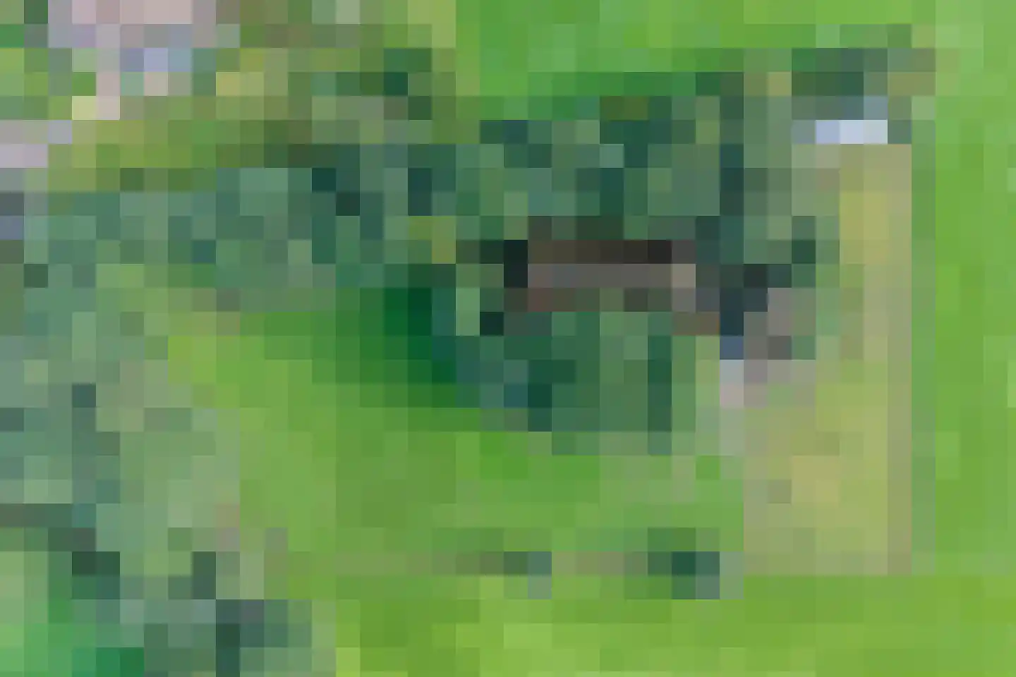 Oud Veeningen 4 Veeningen thumbnail 111