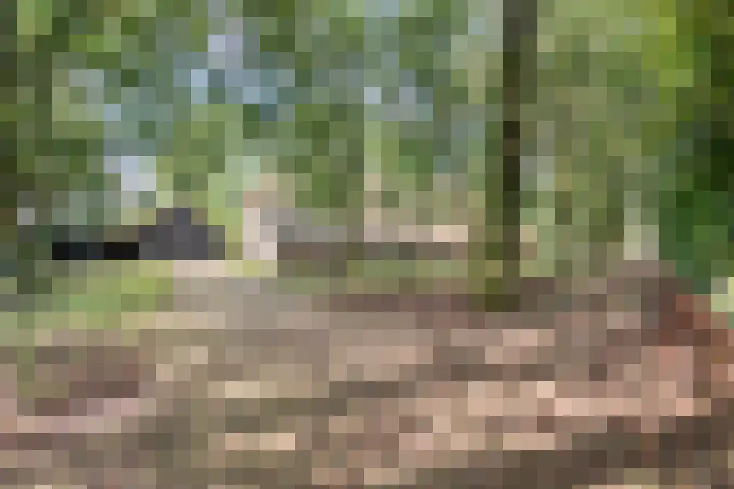Oud Veeningen 4 Veeningen thumbnail 13