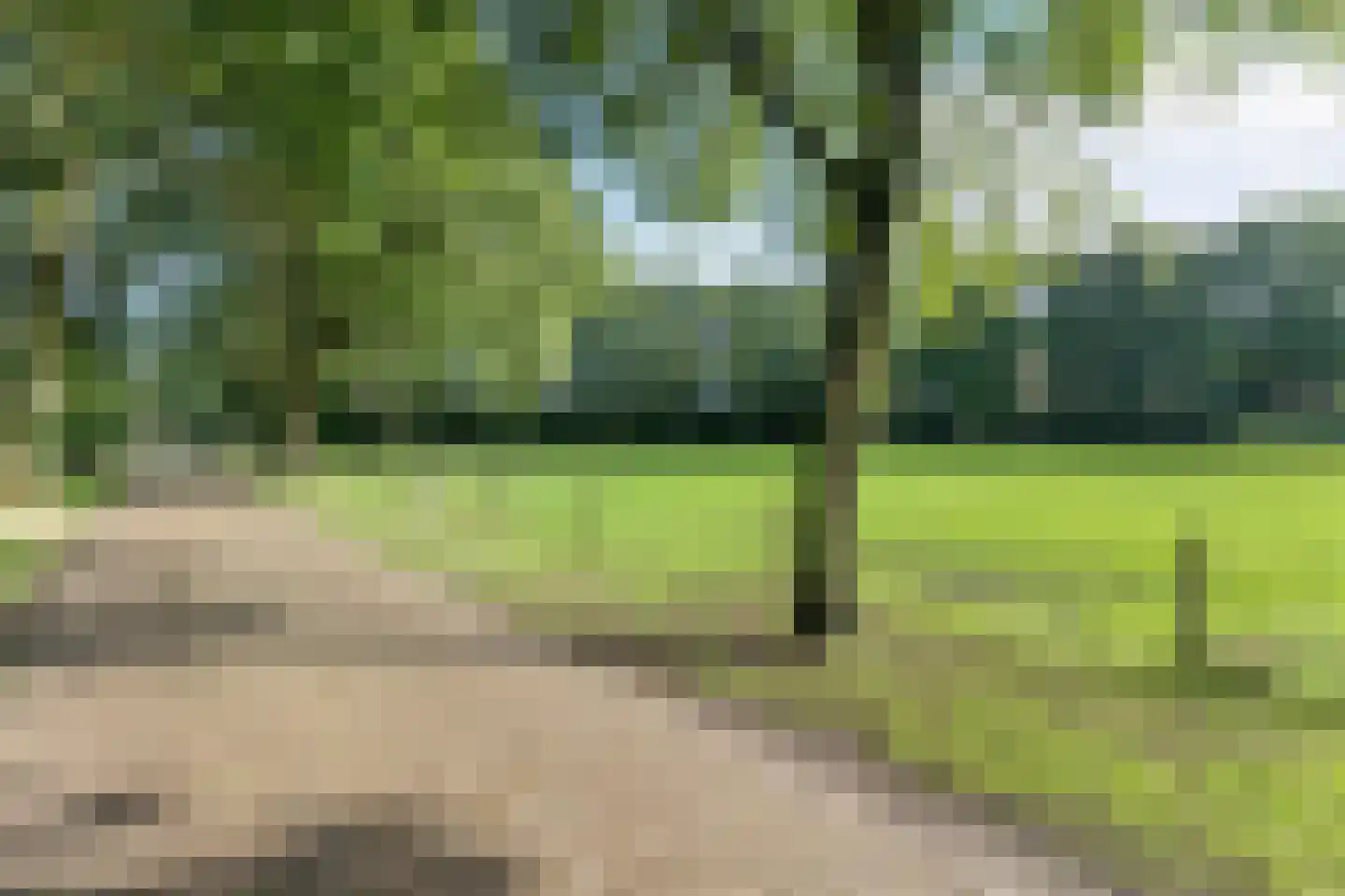 Oud Veeningen 4 Veeningen thumbnail 16