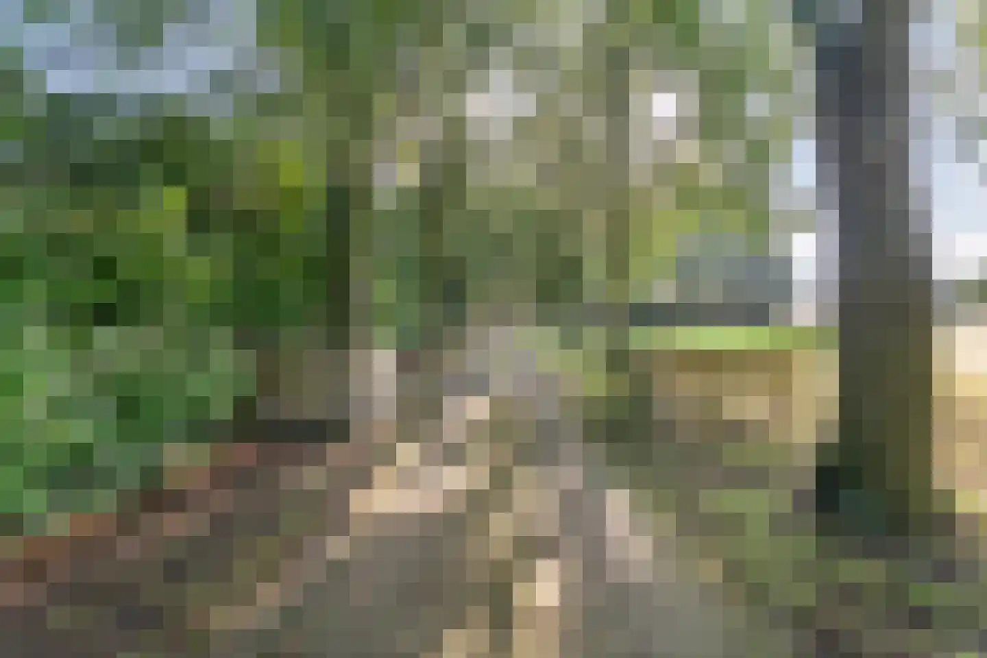Oud Veeningen 4 Veeningen thumbnail 17