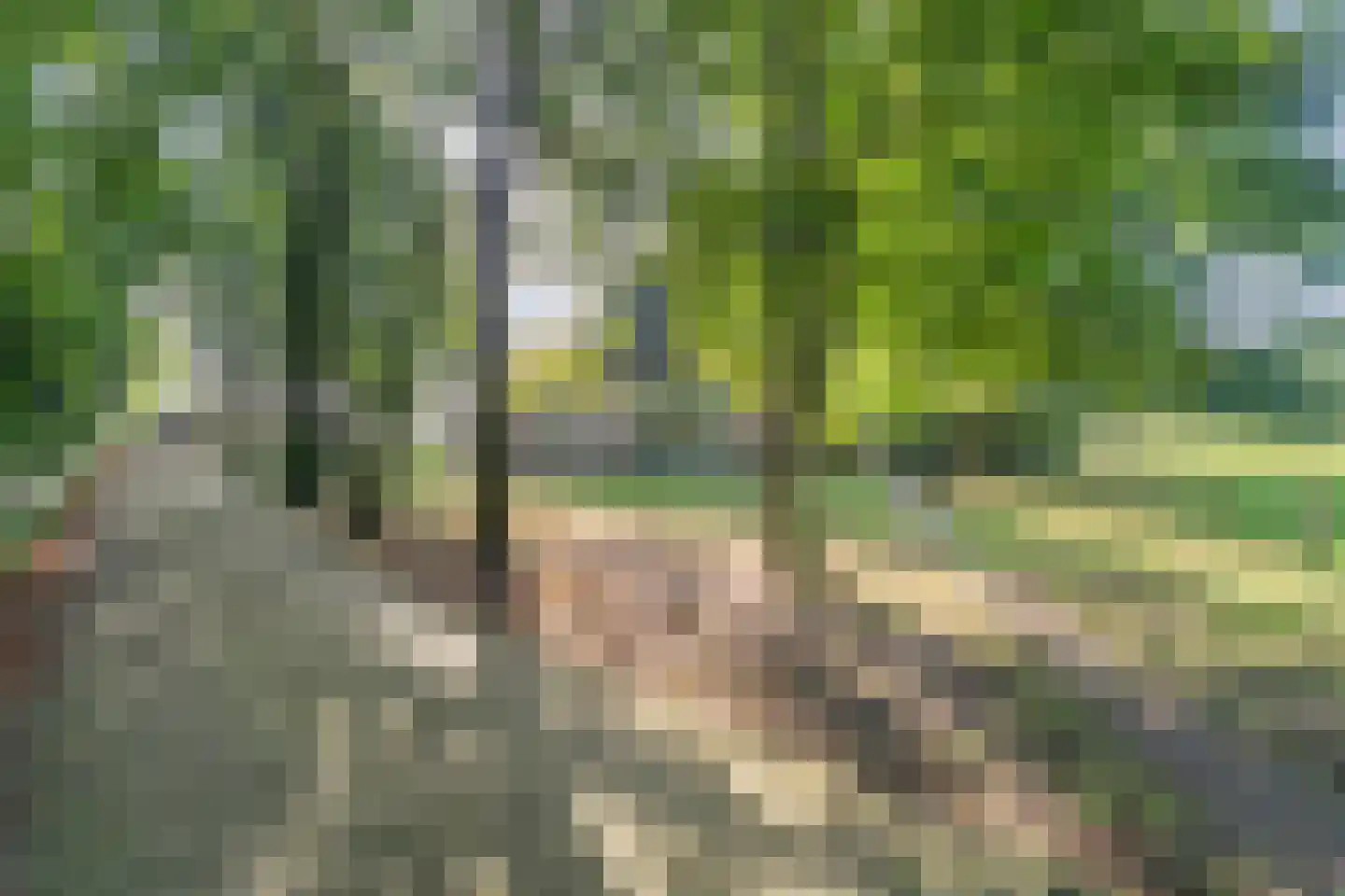 Oud Veeningen 4 Veeningen thumbnail 18