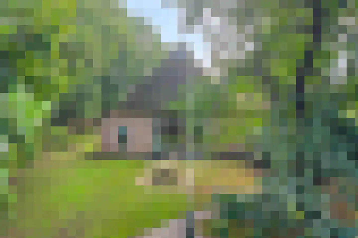Oud Veeningen 4 Veeningen thumbnail 19