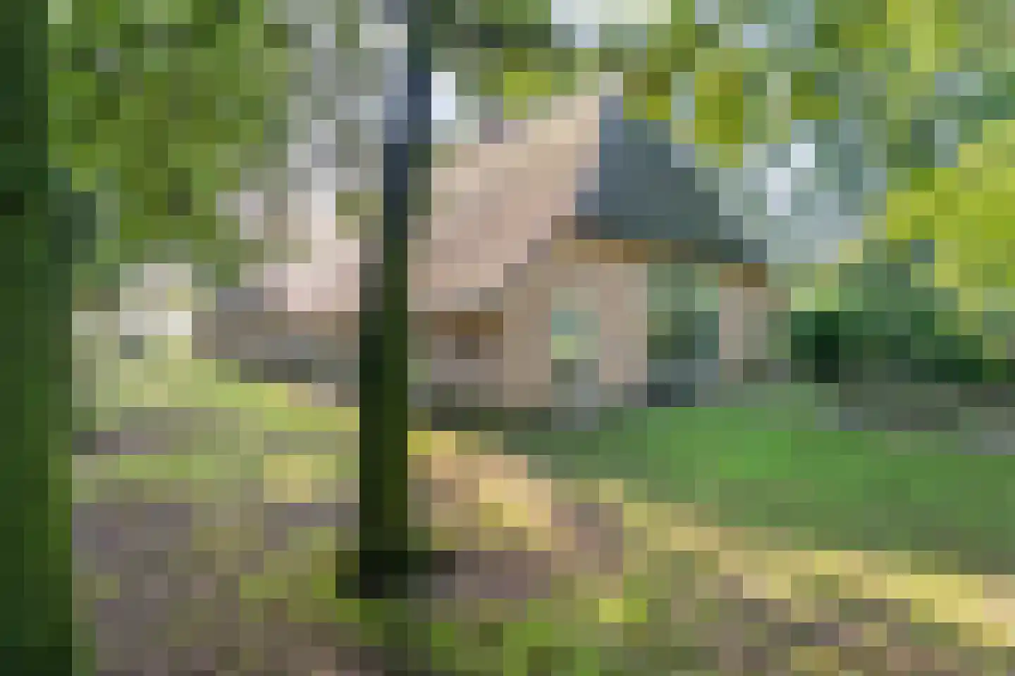 Oud Veeningen 4 Veeningen thumbnail 20
