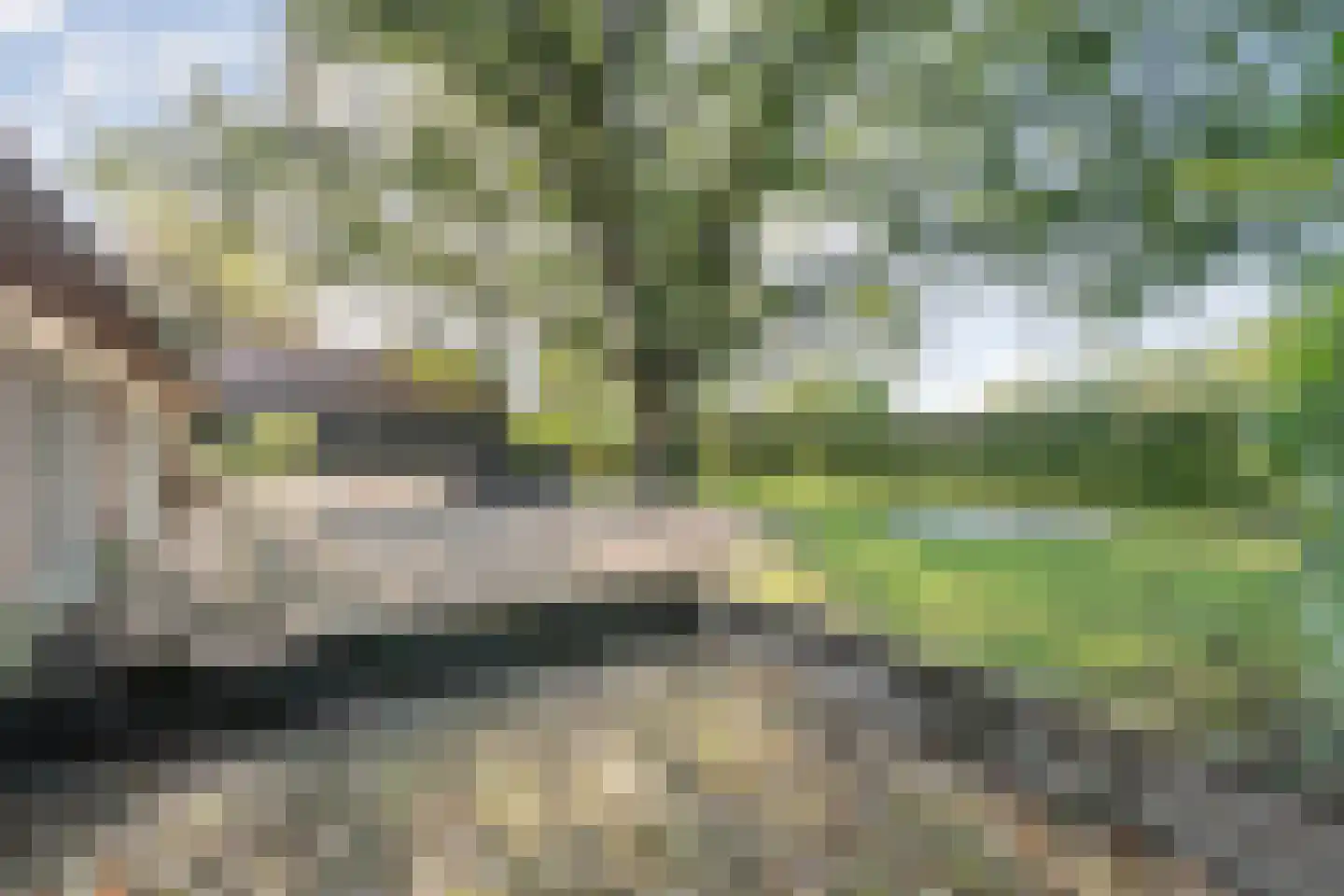 Oud Veeningen 4 Veeningen thumbnail 22
