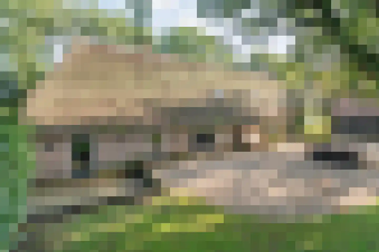 Oud Veeningen 4 Veeningen thumbnail 23