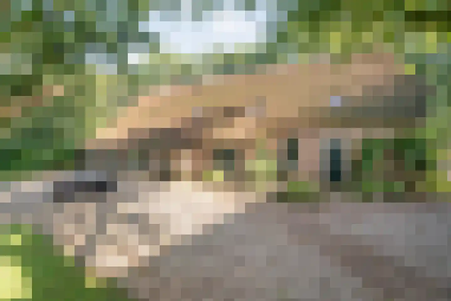 Oud Veeningen 4 Veeningen thumbnail 25