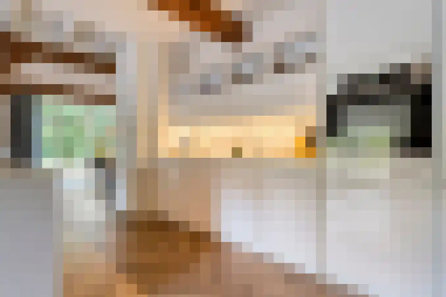 Oud Veeningen 4 Veeningen thumbnail 32