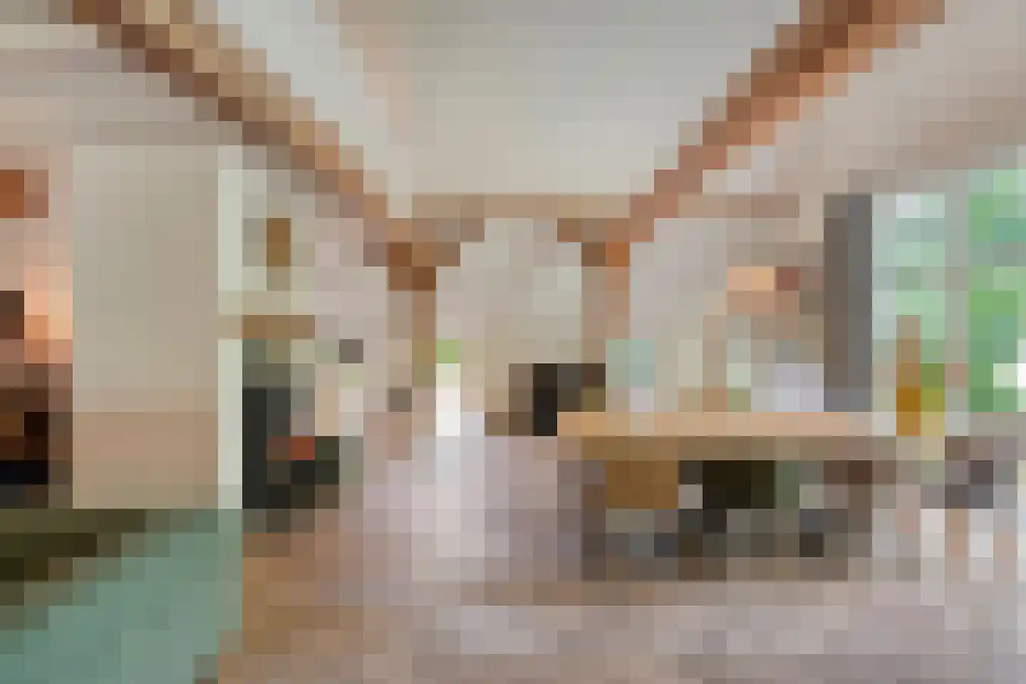 Oud Veeningen 4 Veeningen thumbnail 39