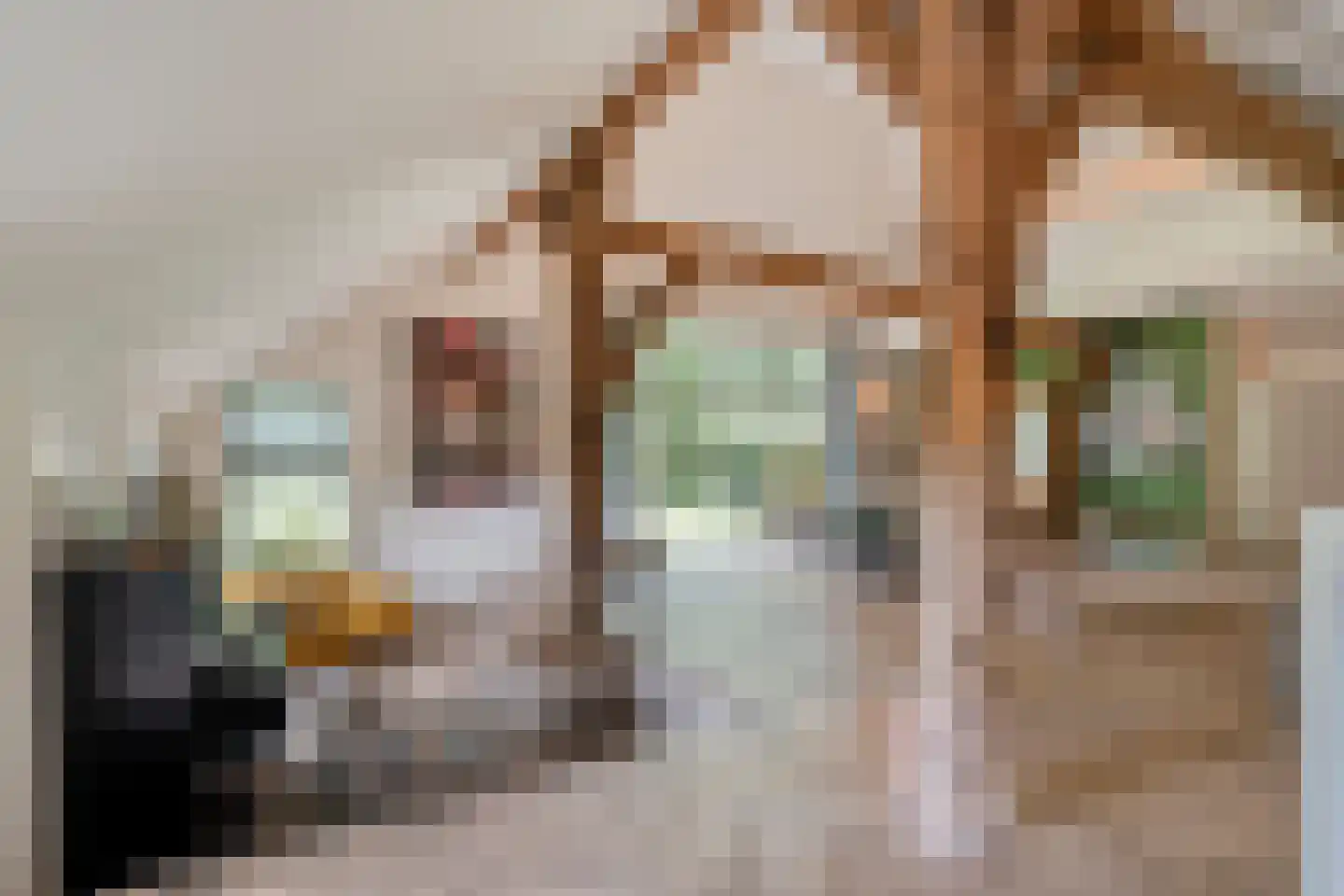 Oud Veeningen 4 Veeningen thumbnail 5