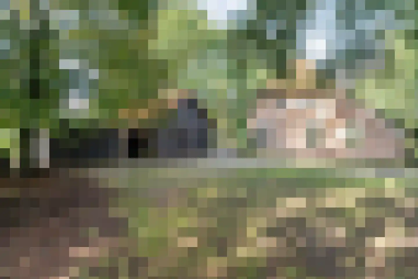 Oud Veeningen 4 Veeningen thumbnail 87