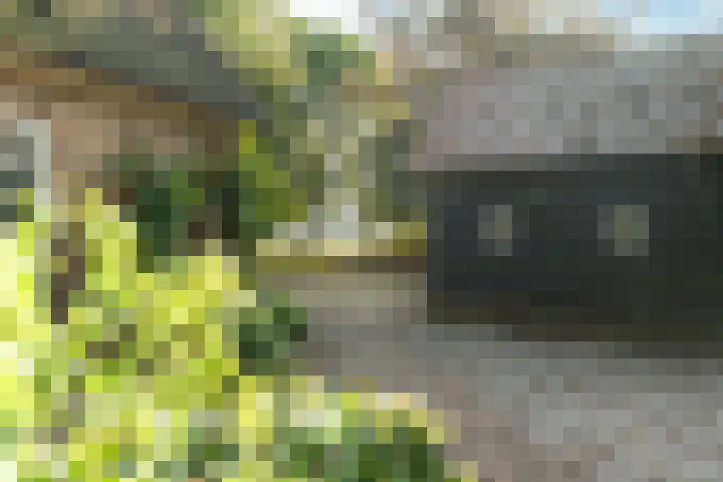 Oud Veeningen 4 Veeningen thumbnail 90