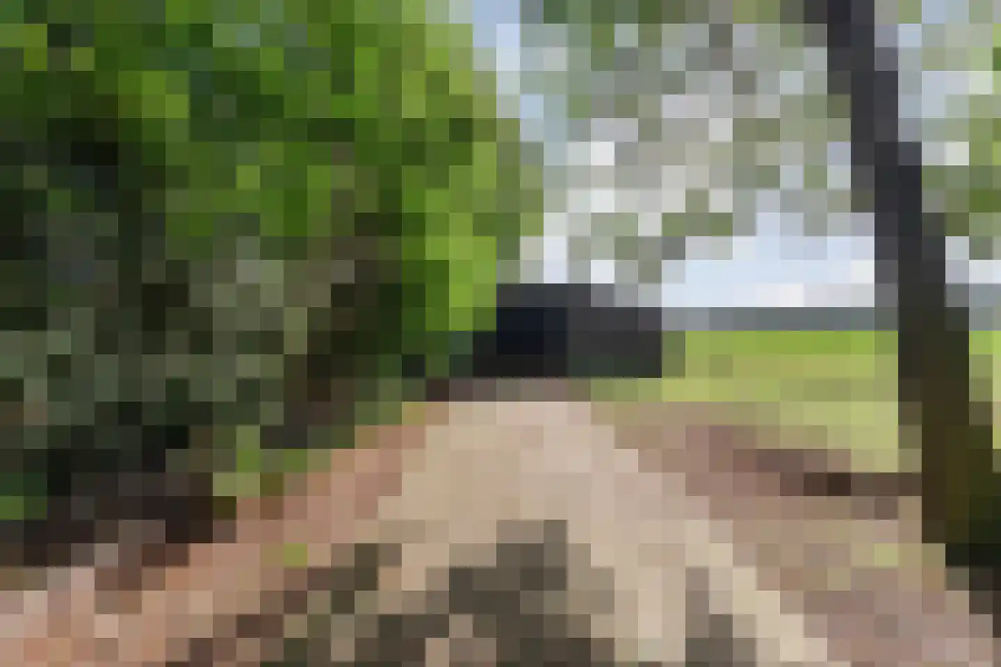 Oud Veeningen 4 Veeningen thumbnail 93