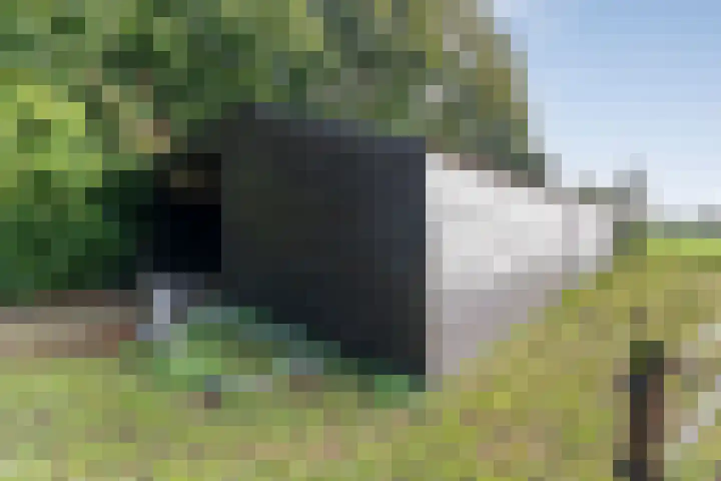 Oud Veeningen 4 Veeningen thumbnail 94