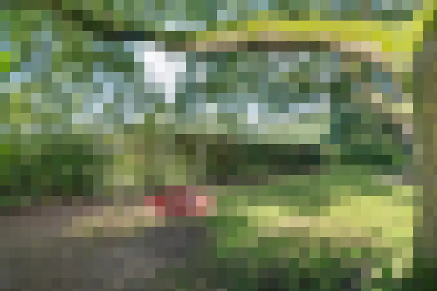 Oud Veeningen 4 Veeningen thumbnail 95