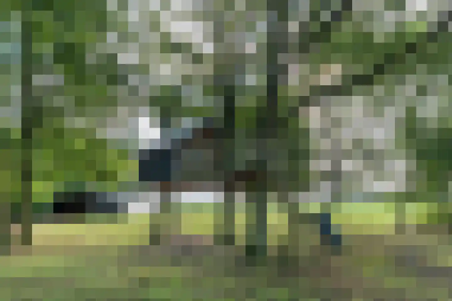 Oud Veeningen 4 Veeningen thumbnail 96