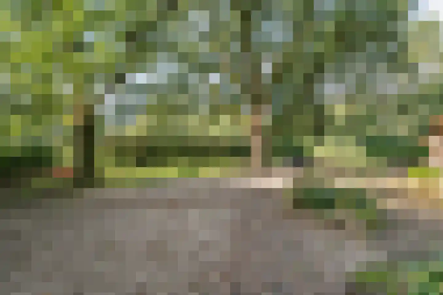 Oud Veeningen 4 Veeningen thumbnail 97