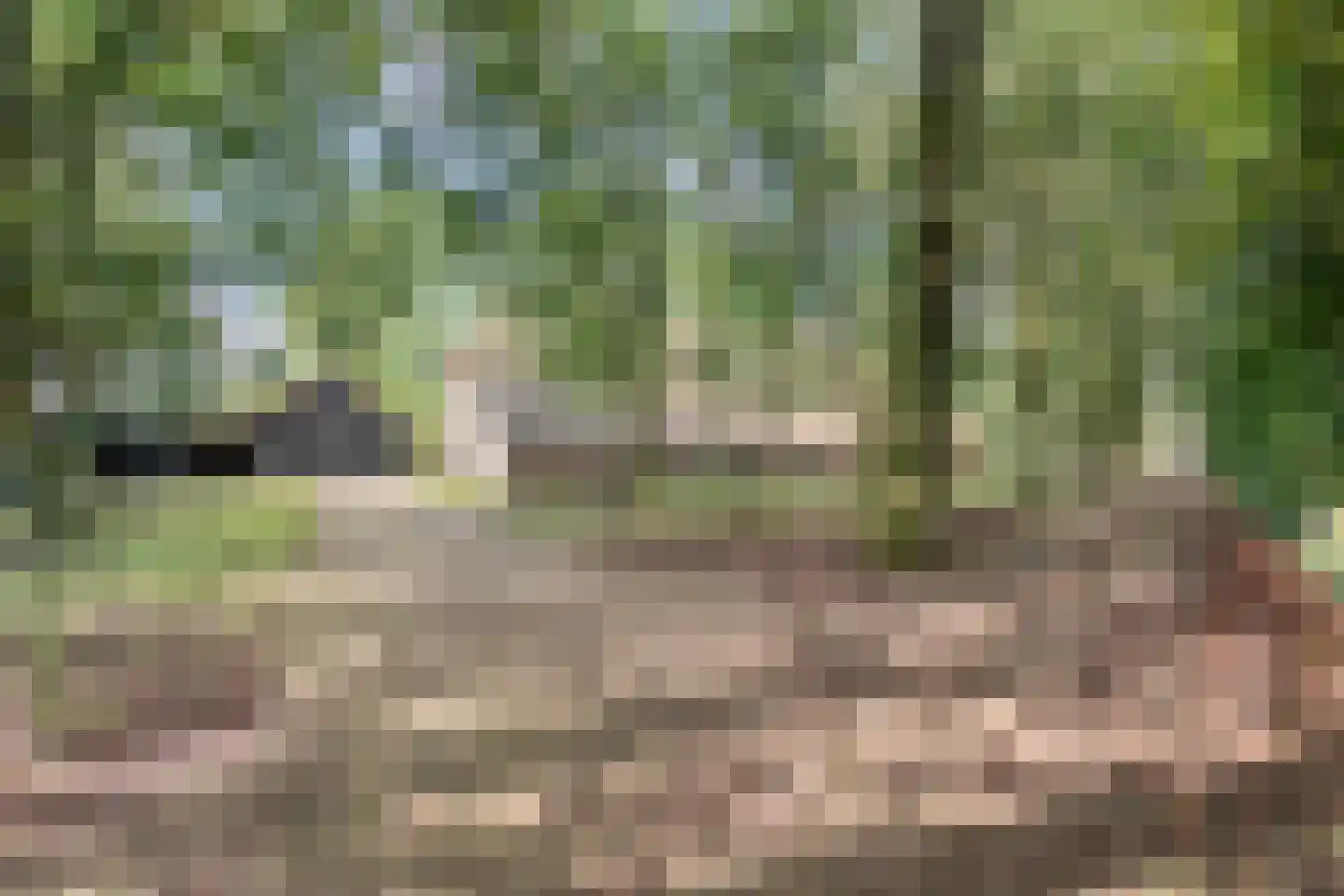 Oud Veeningen 4 Veeningen thumbnail 98