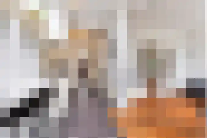 Oud-Veldzichtlaan 21 Apeldoorn thumbnail 11