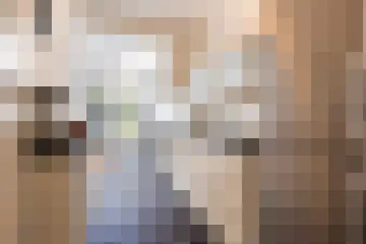 Oud-Veldzichtlaan 21 Apeldoorn thumbnail 12