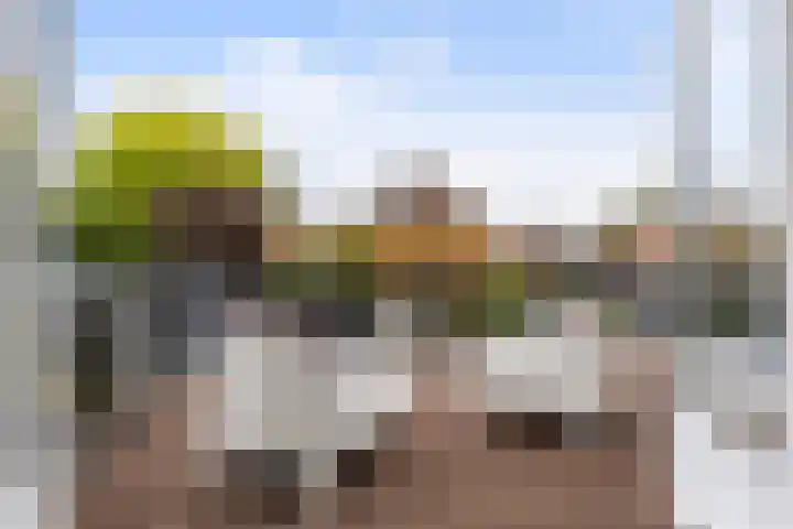 Oud-Veldzichtlaan 21 Apeldoorn thumbnail 19